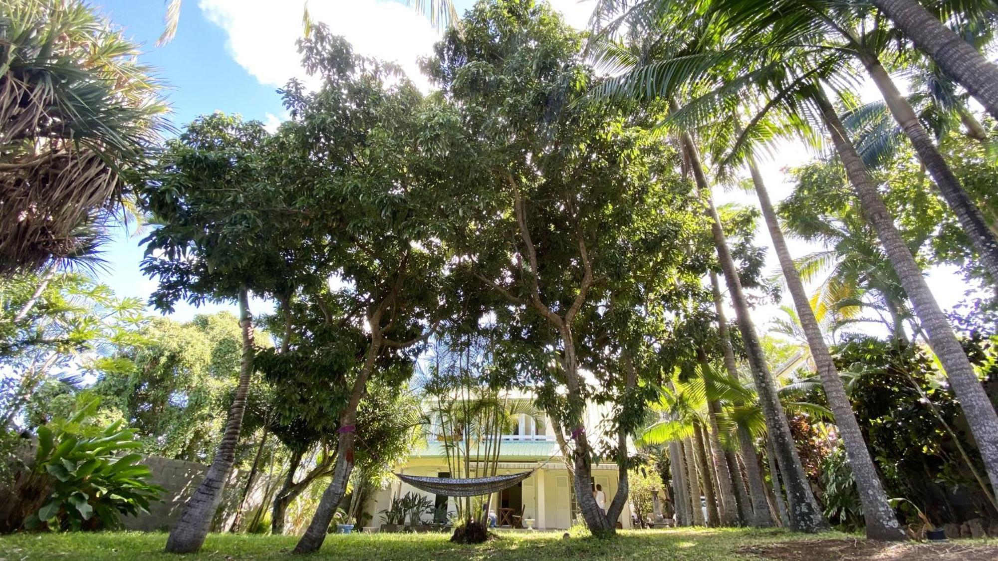 Coliver - Coliving A La Reunion Сен-Пьер Экстерьер фото