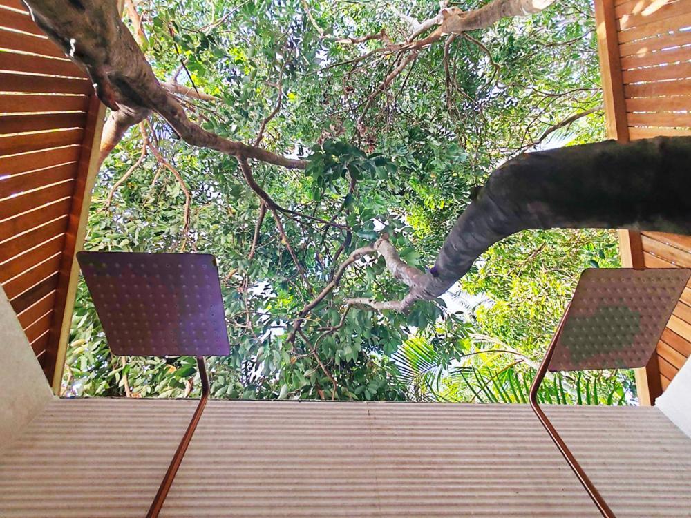 Coliver - Coliving A La Reunion Сен-Пьер Экстерьер фото