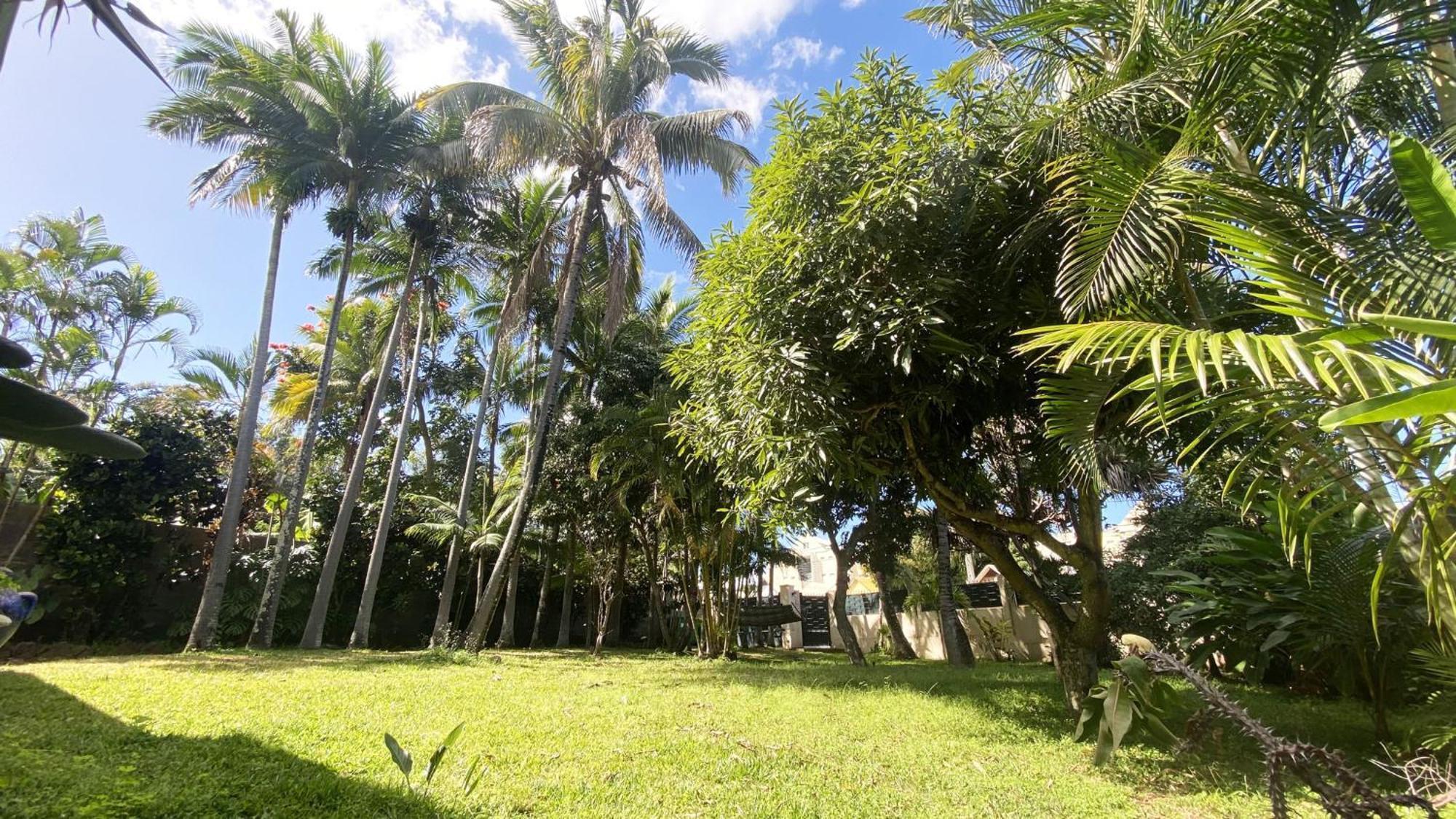 Coliver - Coliving A La Reunion Сен-Пьер Экстерьер фото