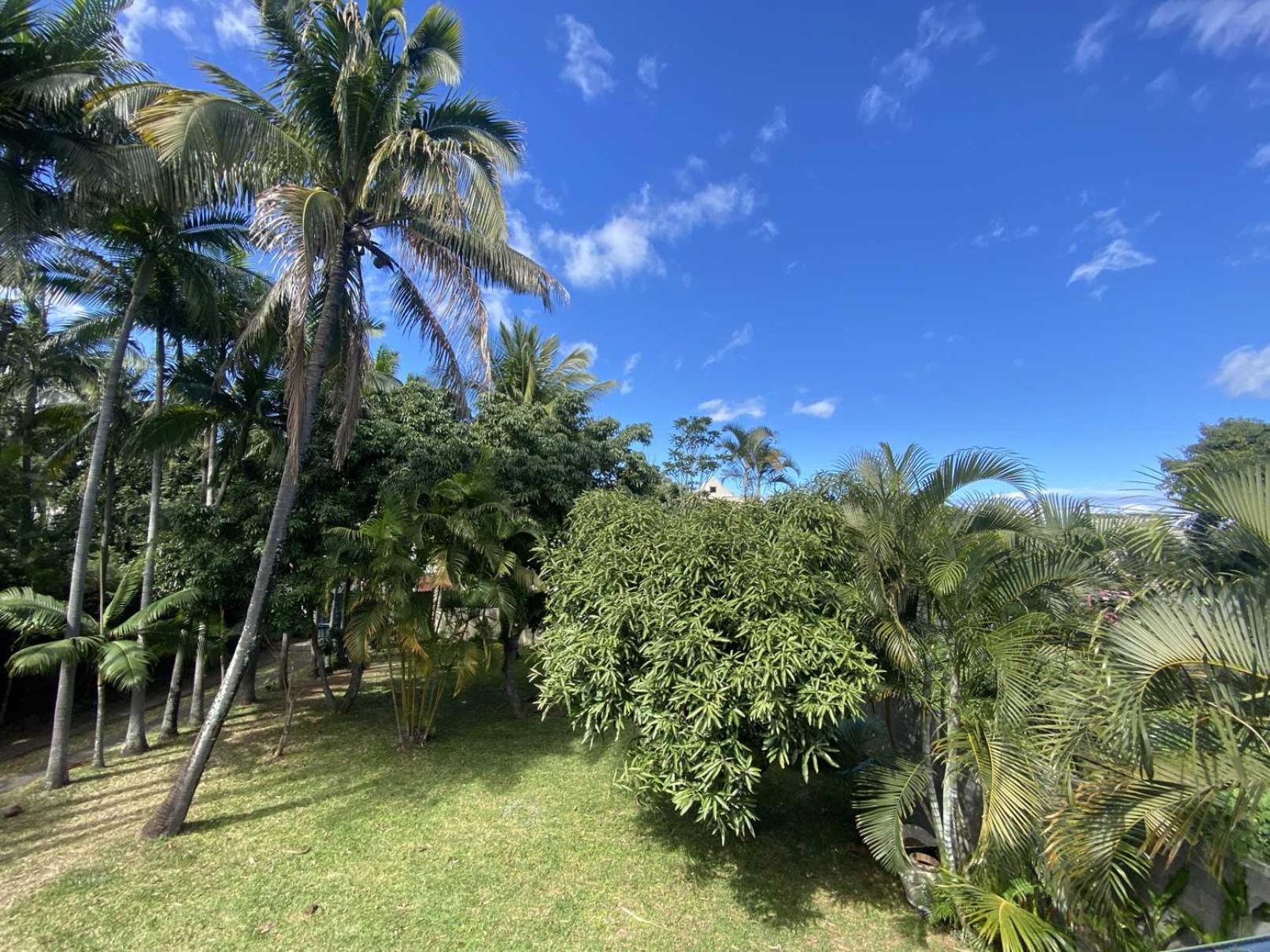 Coliver - Coliving A La Reunion Сен-Пьер Экстерьер фото