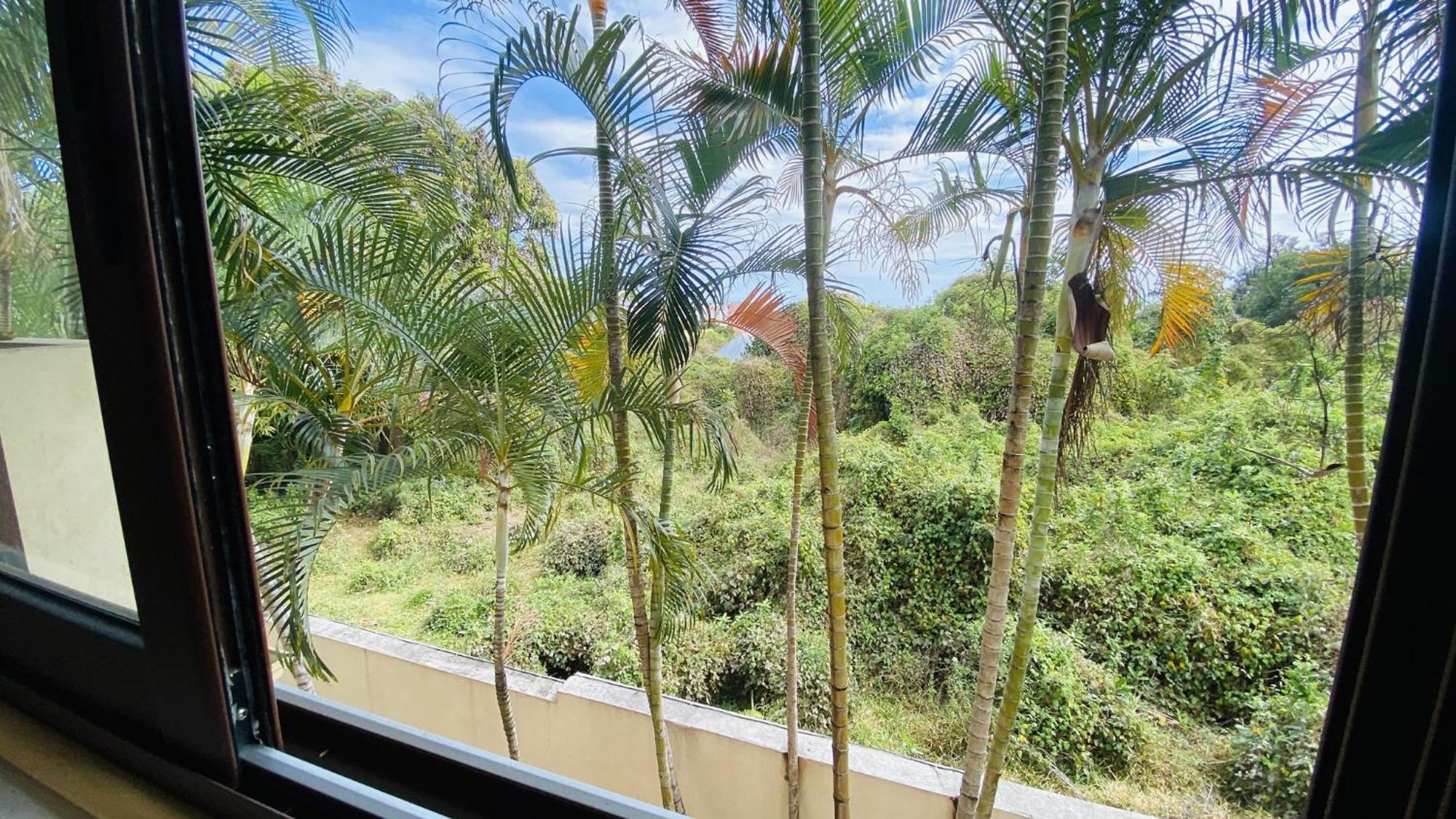 Coliver - Coliving A La Reunion Сен-Пьер Экстерьер фото